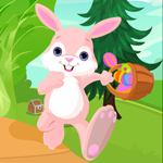 Games4King Funny Rabbit Rescue Walkthrough